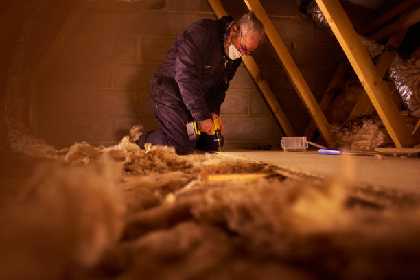 Best Geographic-Specific Insulation Services in Port Norris, NJ